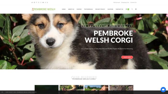 Pembrokepuppies.com - Corgi Puppy Scam Review