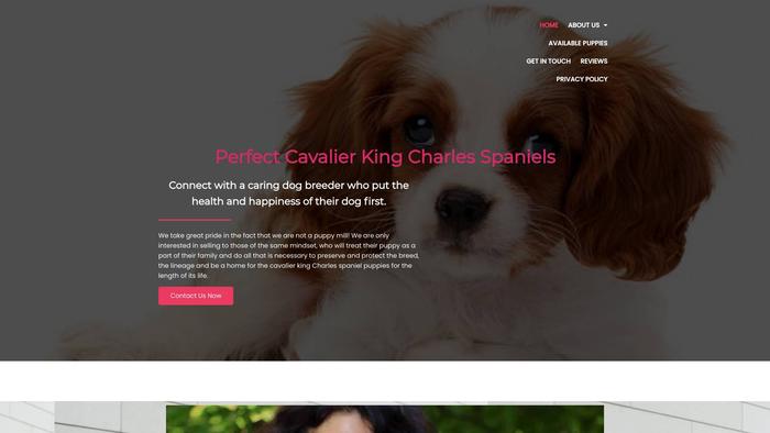 Perfect-cavalierkingcharlessale.com - Cavalier King Charles Spaniel Puppy Scam Review