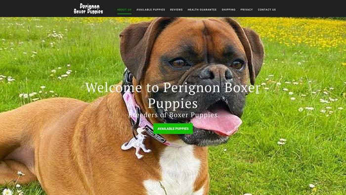 Perignonboxerpuppies.com - Boxer Puppy Scam Review