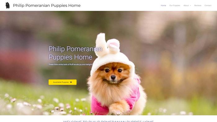 Philippomeranianpuppieshome.com - Pomeranian Puppy Scam Review