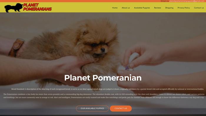 Planetpomeranianpuppies.com - Pomeranian Puppy Scam Review