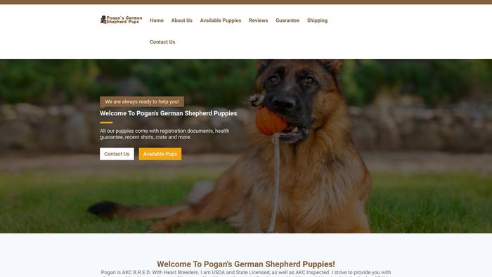 Pogangermanshepherds.com - Germanshepherd Puppy Scam Review