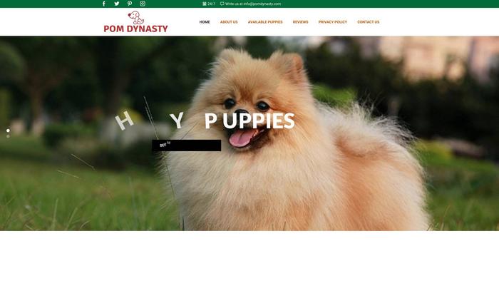 Pomdynasty.com - Pomeranian Puppy Scam Review