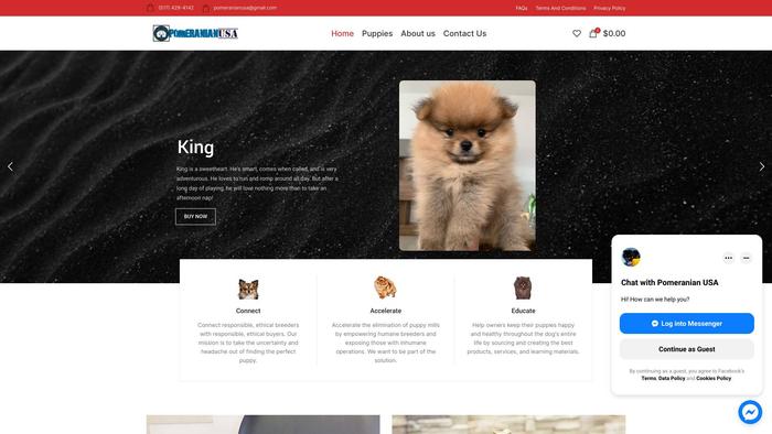 Pomeranianusa.com - Pomeranian Puppy Scam Review