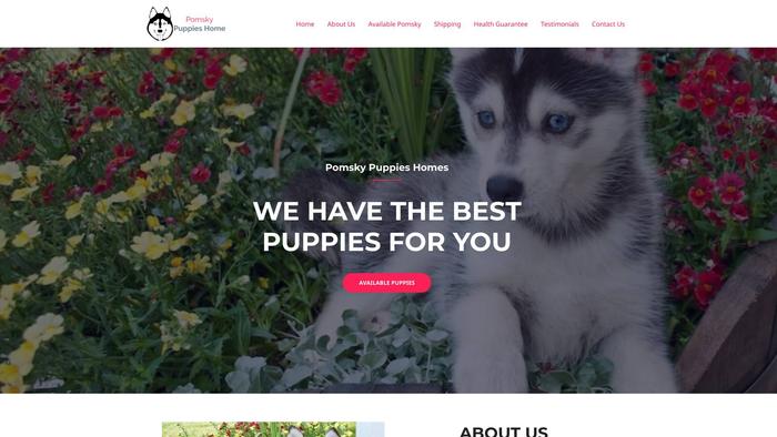 Pomskypupshome.com - Pomeranian Puppy Scam Review