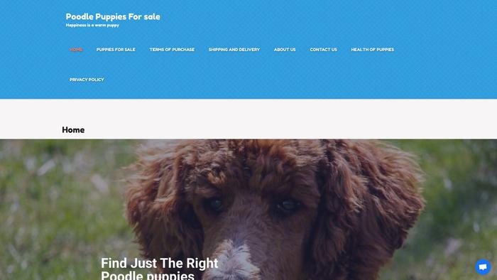 Poodlepuppyfinder.com - Poodle Puppy Scam Review