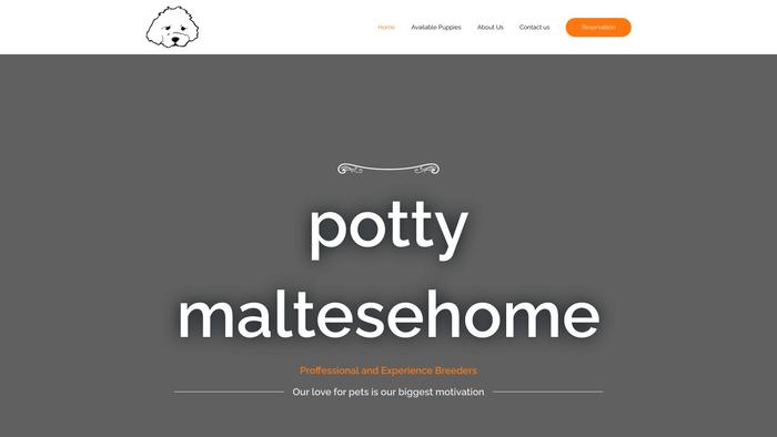 Pottymaltesehome.com - Maltese Puppy Scam Review