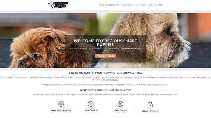 Precioussmartpuppies.com - Maltipoo Puppy Scam Review