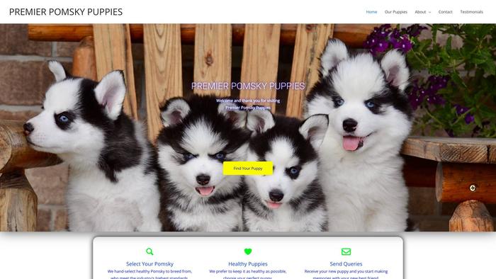 Premierpomskypuppies.com - Pomeranian Puppy Scam Review