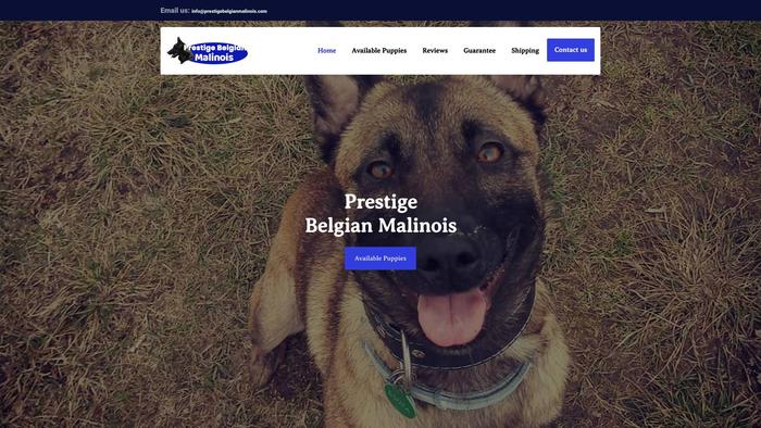 Prestigebelgianmalinois.com - Germanshepherd Puppy Scam Review