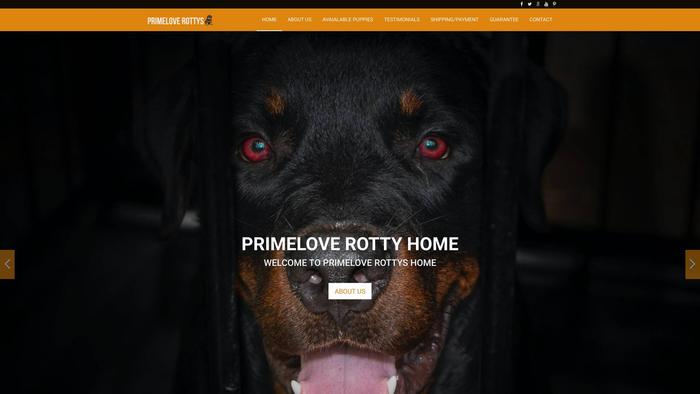 Primeloverotties.site - Rottweiler Puppy Scam Review