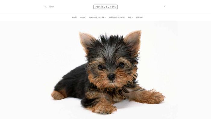 Puppiesfor.me - Yorkshire Terrier Puppy Scam Review