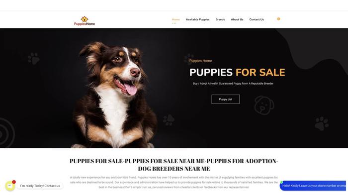 Puppieshome.net - Labradoodle Puppy Scam Review