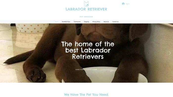 Puppyhome.site - Labrador Puppy Scam Review