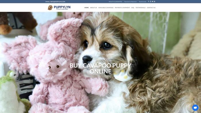 Puppylyn.com - Cavapoo Puppy Scam Review