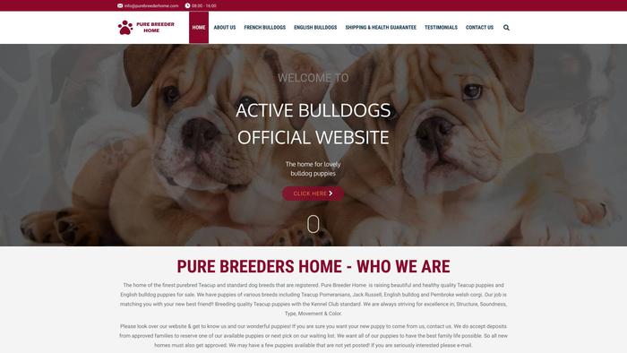 Purebreederhome.com - French Bulldog Puppy Scam Review