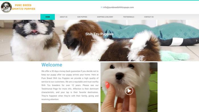 Purebreedshihtzupups.com - Shihtzu Puppy Scam Review