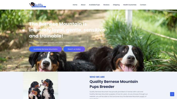 Qualitybernesemountainpuppies.com - Bernese Mountain Dog Puppy Scam Review