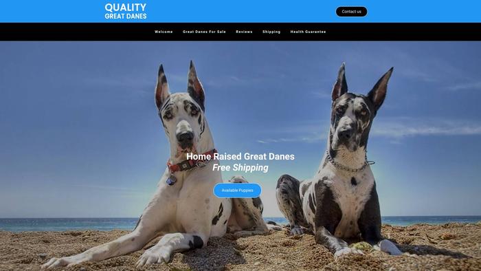 Qualitygreatdanes.com - Great Dane Puppy Scam Review