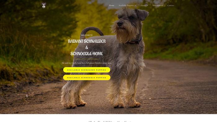 Radiantschnoodleandschnauzerhome.com - Schnauzer Puppy Scam Review