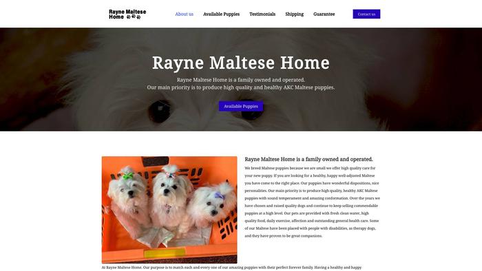 Raynemaltesehome.com - Maltese Puppy Scam Review