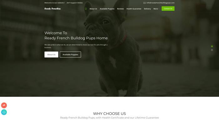 Readyfrenchbulldogpups.com - French Bulldog Puppy Scam Review