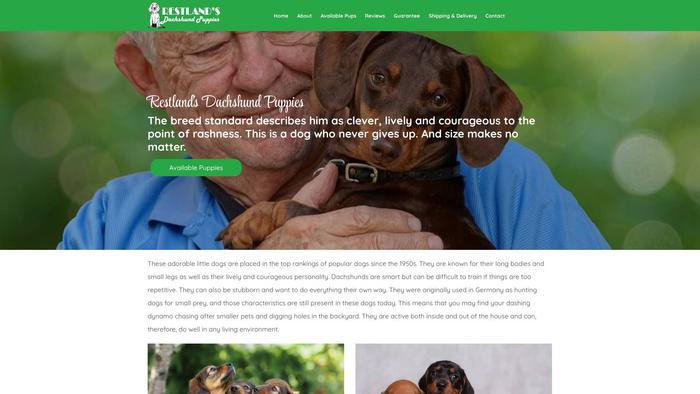 Restlandsdachshundpuppies.com - Dachshund Puppy Scam Review