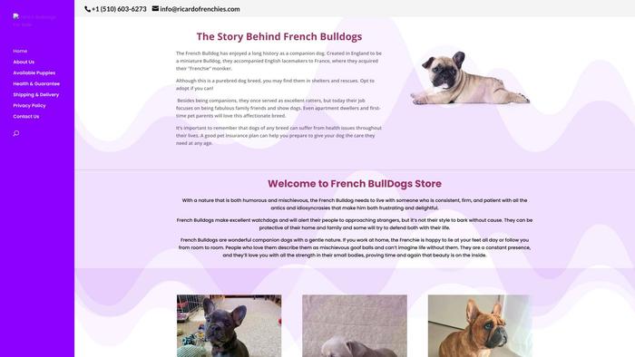 Ricardofrenchies.com - French Bulldog Puppy Scam Review