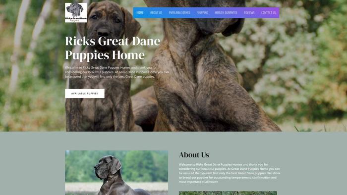 Ricksgreatdanepups.com - Great Dane Puppy Scam Review