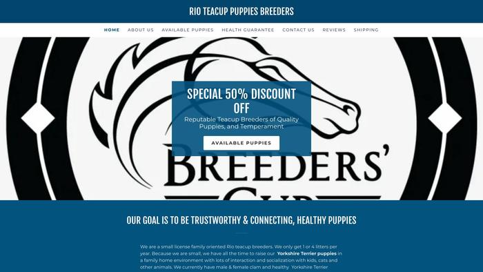 Rioteacuppuppiesbreeders.com - Yorkshire Terrier Puppy Scam Review