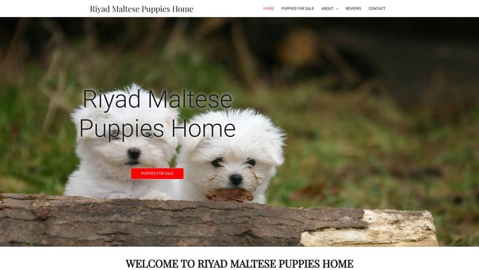 Riyadmaltesepuppieshome.com - Maltese Puppy Scam Review