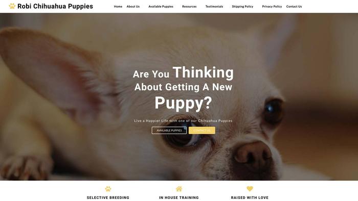 Robichihuahuapuppies.com - Chihuahua Puppy Scam Review