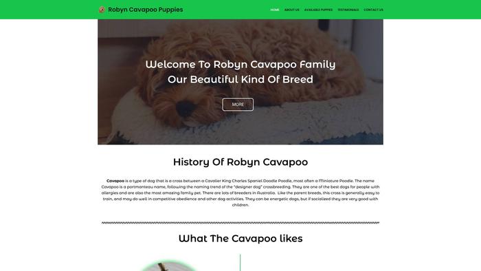 Robyncavapoopuppies.com - Cavapoo Puppy Scam Review