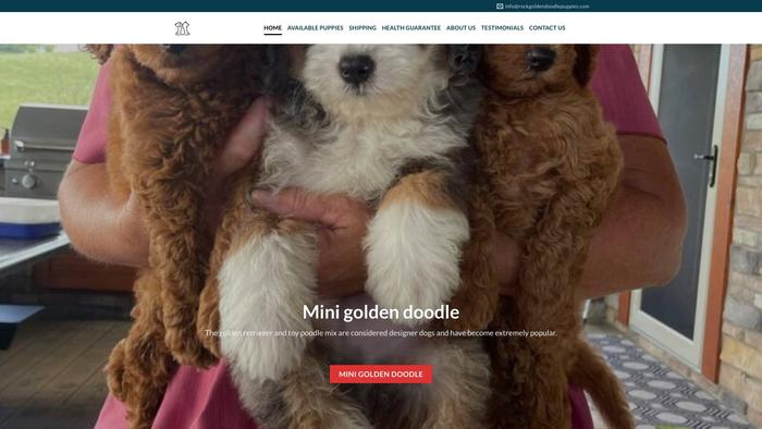 Rockgoldendoodlepuppies.com - Golden Doodle Puppy Scam Review