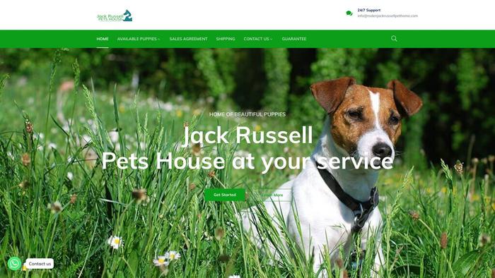 Rodenjackrussellpethome.com - Jack Russell Terrier Puppy Scam Review