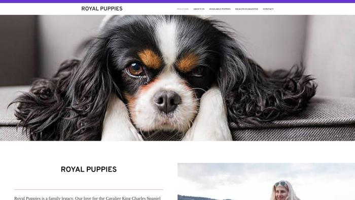 Royal-puppies.com - Cavalier King Charles Spaniel Puppy Scam Review