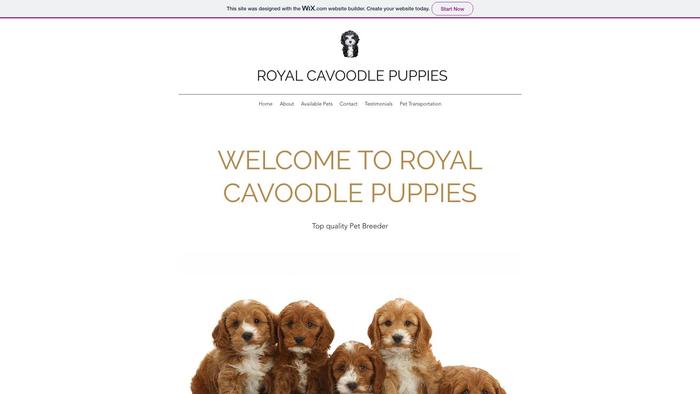 Royalcavoodlepups.com - Cavapoo Puppy Scam Review