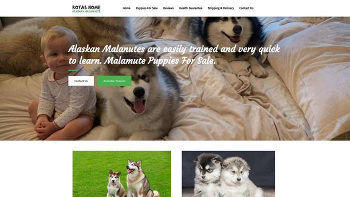 Royalhomealaskanmalamutepuppies.com - Malamute Puppy Scam Review