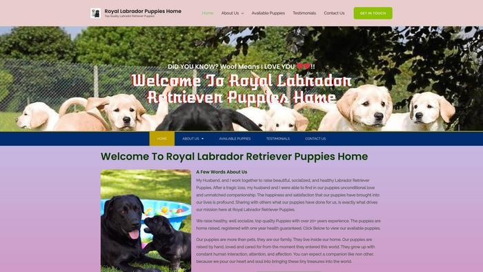 Royallabradorpups.com - Golden Retriever Puppy Scam Review