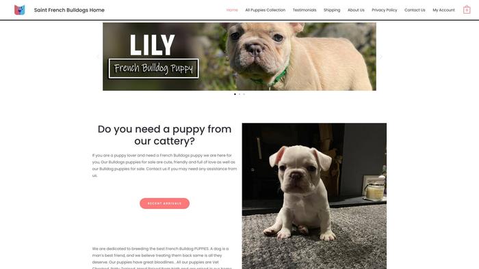 Saintfrenchbulldogshome.com - French Bulldog Puppy Scam Review