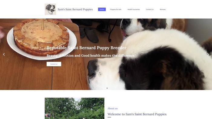 Samsaintbernardpuppies.com - Saint Bernard Puppy Scam Review