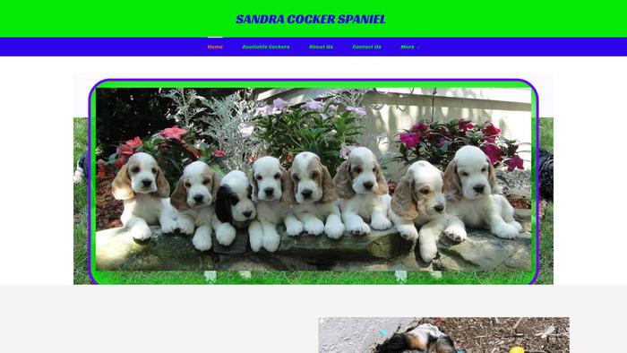 Sandramcockerspaniel.dog - Cockerspaniel Puppy Scam Review