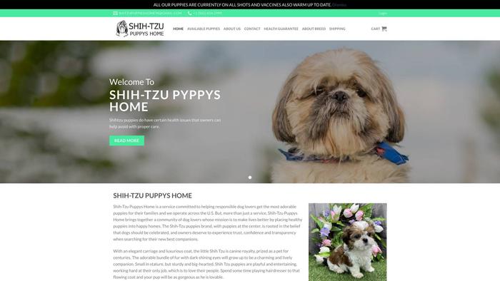 Shihtzupuppyshome.com - Shihtzu Puppy Scam Review