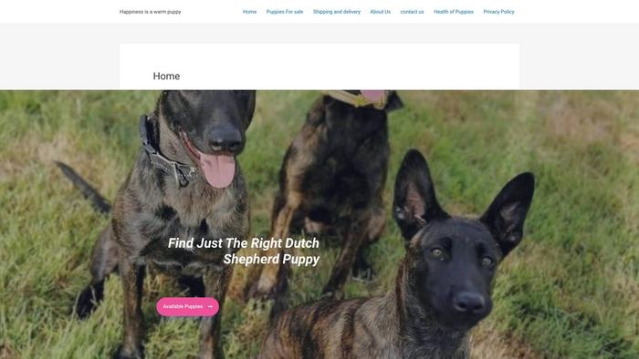 Smartdutchshepherdpups.store - Germanshepherd Puppy Scam Review