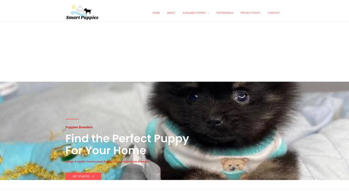 Smartpuppyhomes.com - Yorkshire Terrier Puppy Scam Review