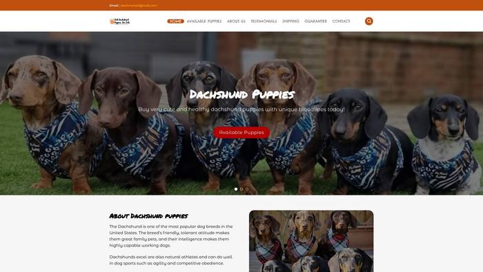 Springpupshome.com - Dachshund Puppy Scam Review