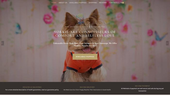 Springsideyorkiepuppies.com - Yorkshire Terrier Puppy Scam Review