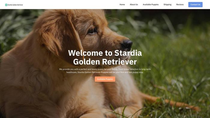 Stardiagoldenretriever.com - Golden Retriever Puppy Scam Review