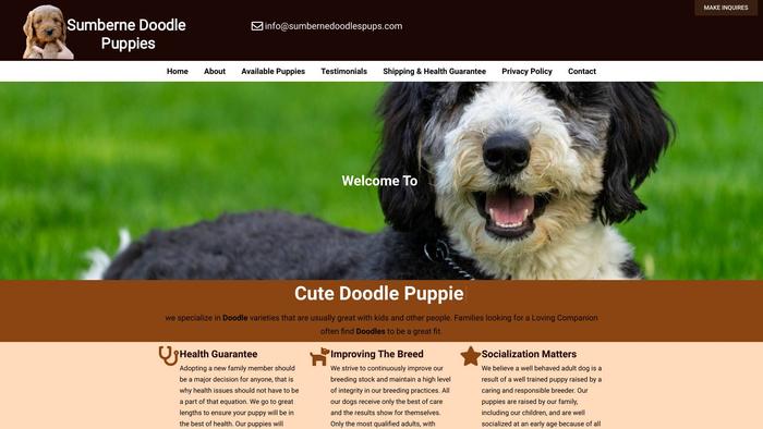 Sumbernedoodlespups.com - Bernedoodle Puppy Scam Review