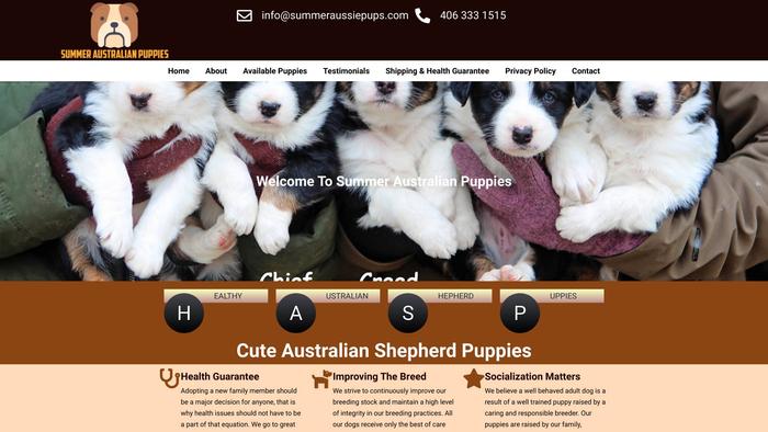 Summeraussiepups.com - Australian Shepherd Puppy Scam Review